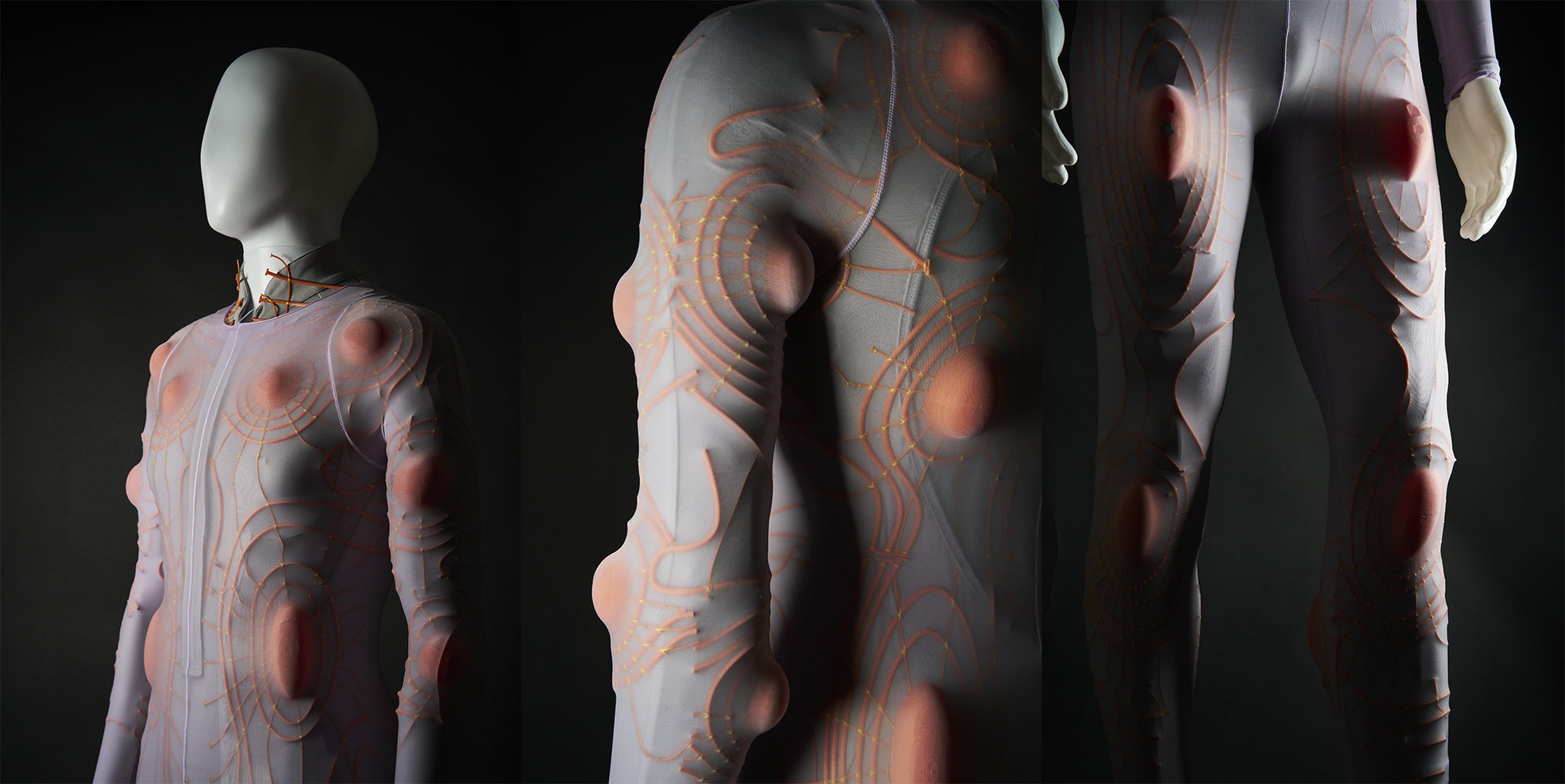 Final Model